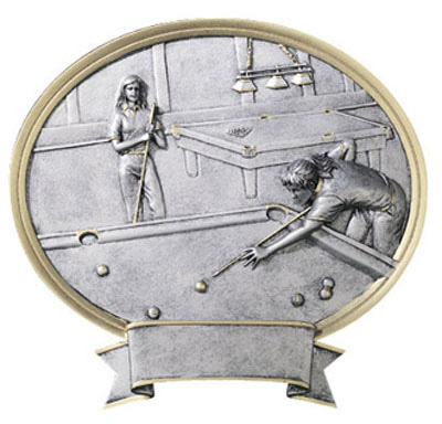 T-2 $15.95
54408GS
POOL, F