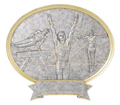 T-2
54631GS
GYMNASTICS, M