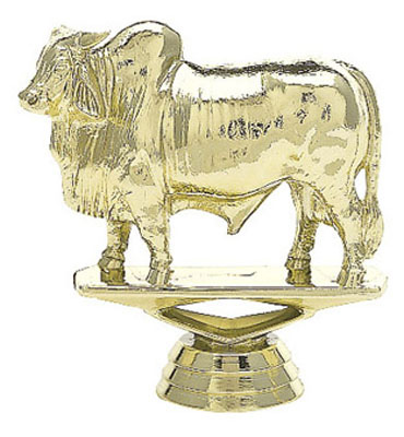 734-G
BRAHMA BULL